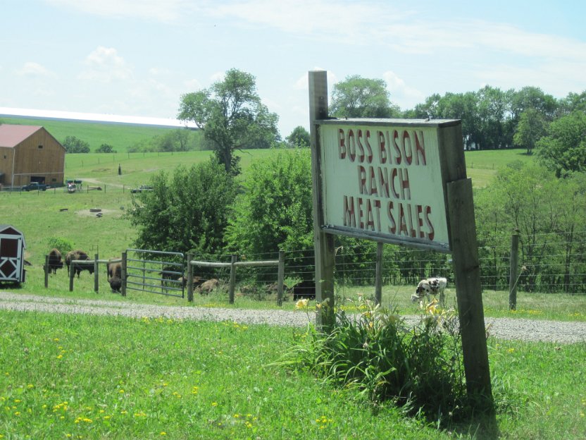 040-Boss Bison Ranch near Cadiz.jpg